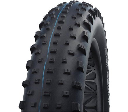 SCHWALBE Tire JUMBO JIM (100-559) 26x4.00 Evolution 67EPI 1090g Black TLE SpeedGrip