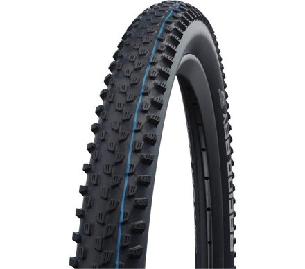 SCHWALBE Tire RACING RAY (60-622) 29x2.35 Evolution 67EPI 730g Black TLE SpeedGrip